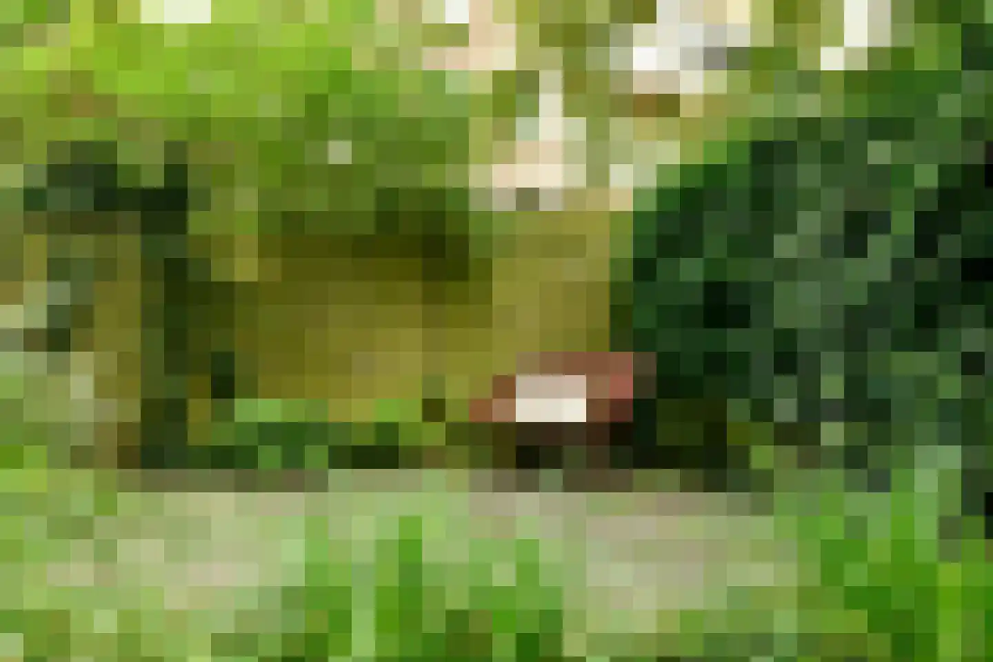 Admiralengracht 263 Amsterdam thumbnail 12