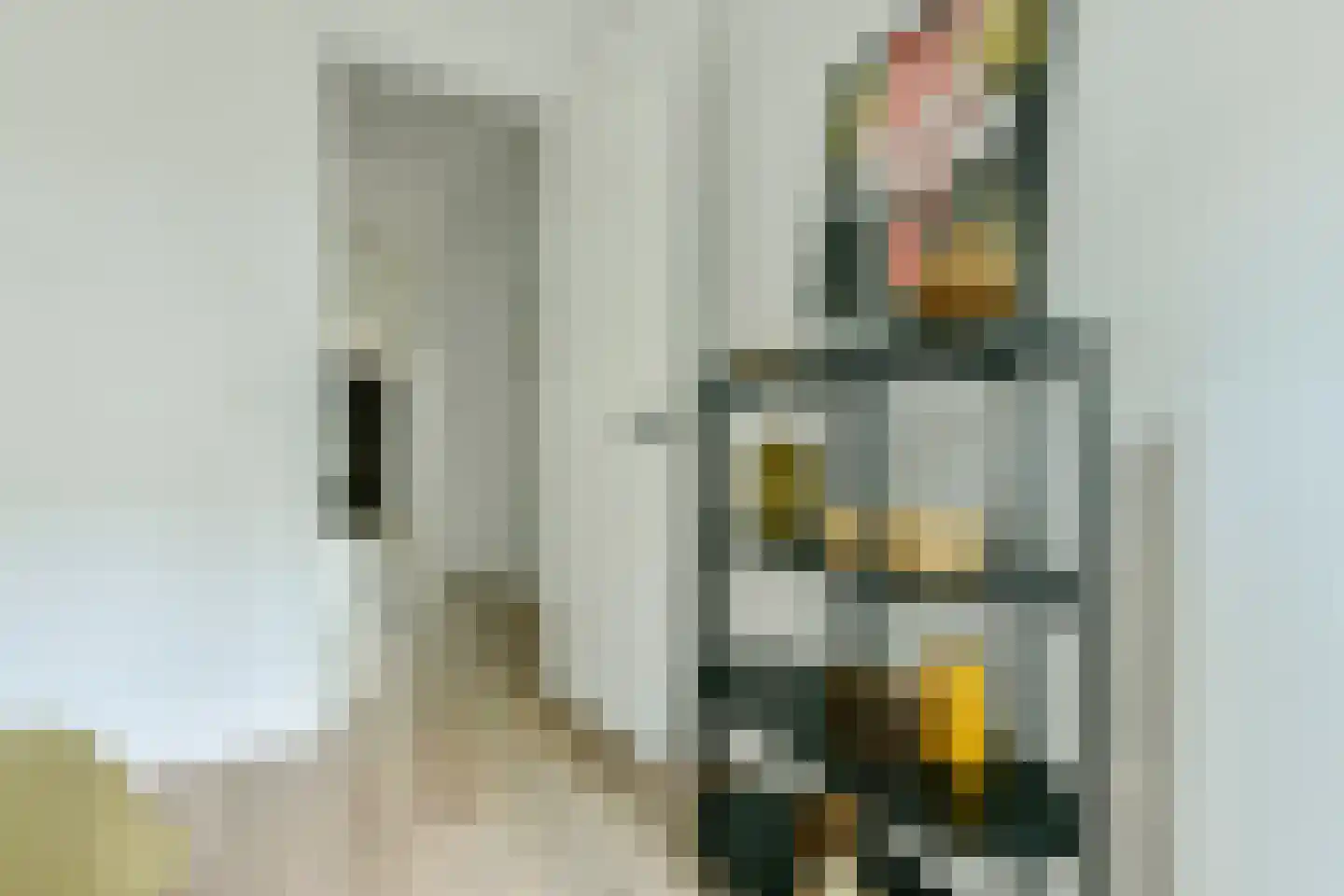 Admiralengracht 263 Amsterdam thumbnail 13