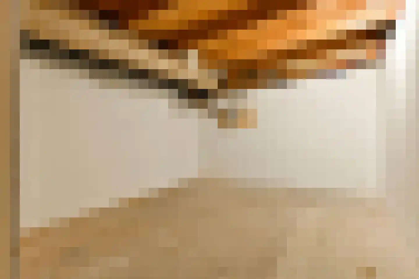 Admiralengracht 263 Amsterdam thumbnail 20