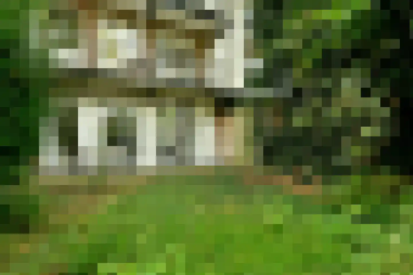 Admiralengracht 263 Amsterdam thumbnail 4