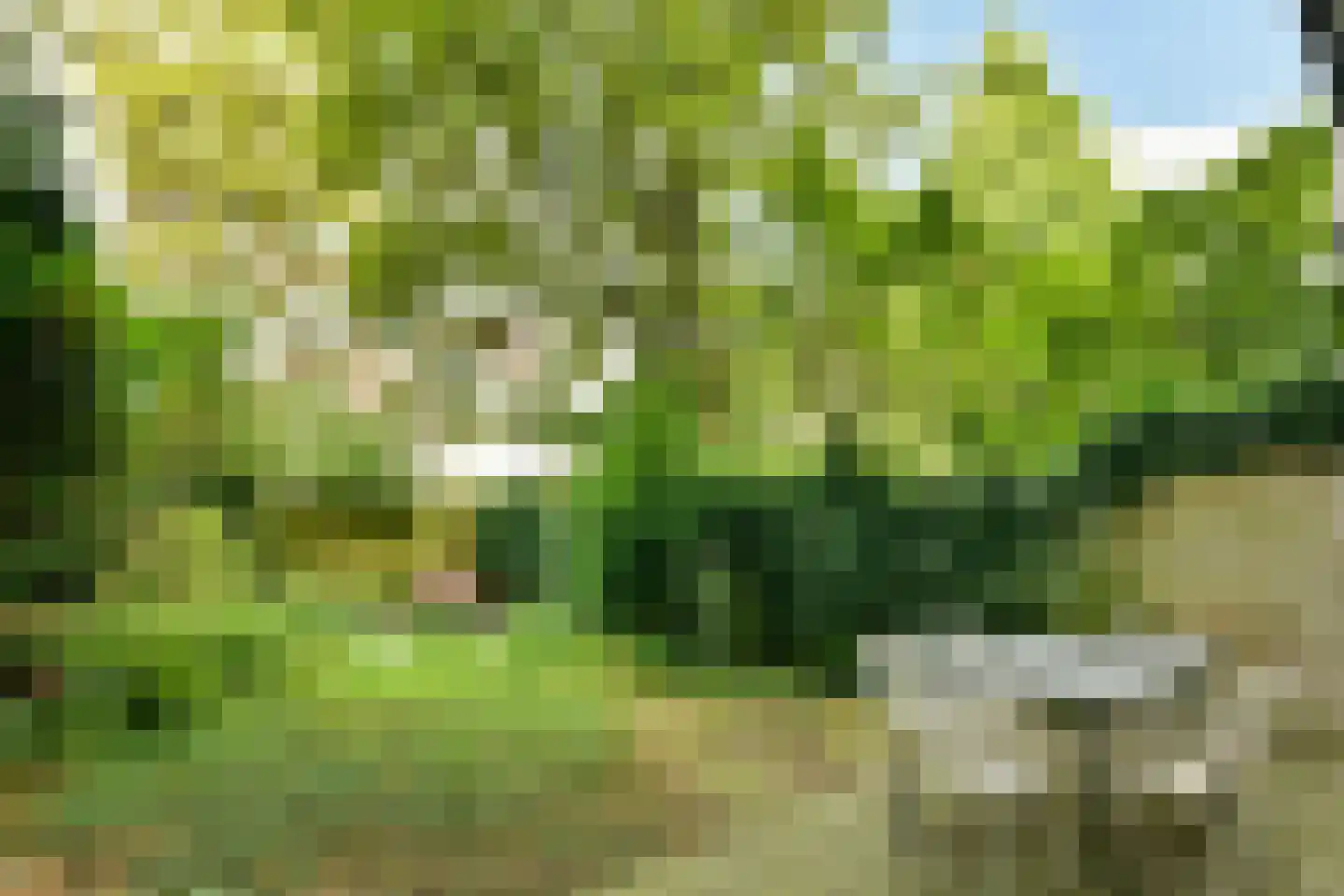 Admiralengracht 263 Amsterdam thumbnail 5