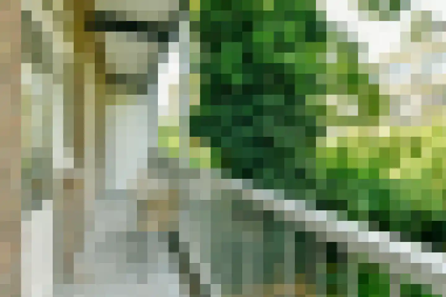 Admiralengracht 265 1 Amsterdam thumbnail 17