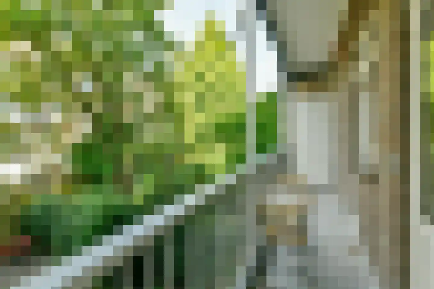 Admiralengracht 265 1 Amsterdam thumbnail 4