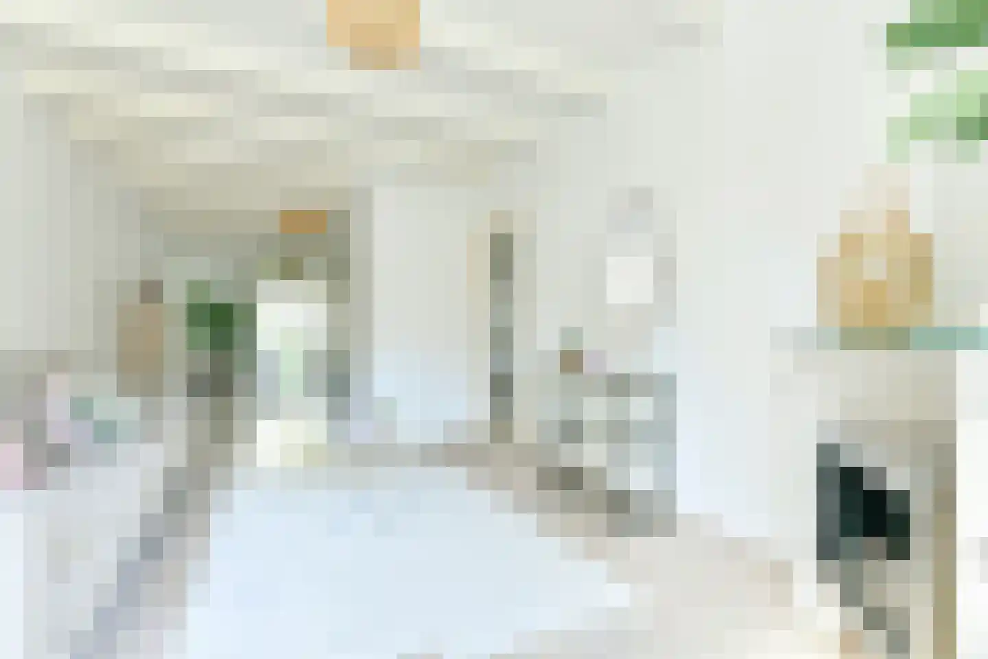 Admiralengracht 265 1 Amsterdam thumbnail 5