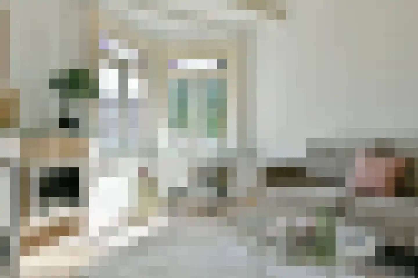 Admiralengracht 265 1 Amsterdam thumbnail 6