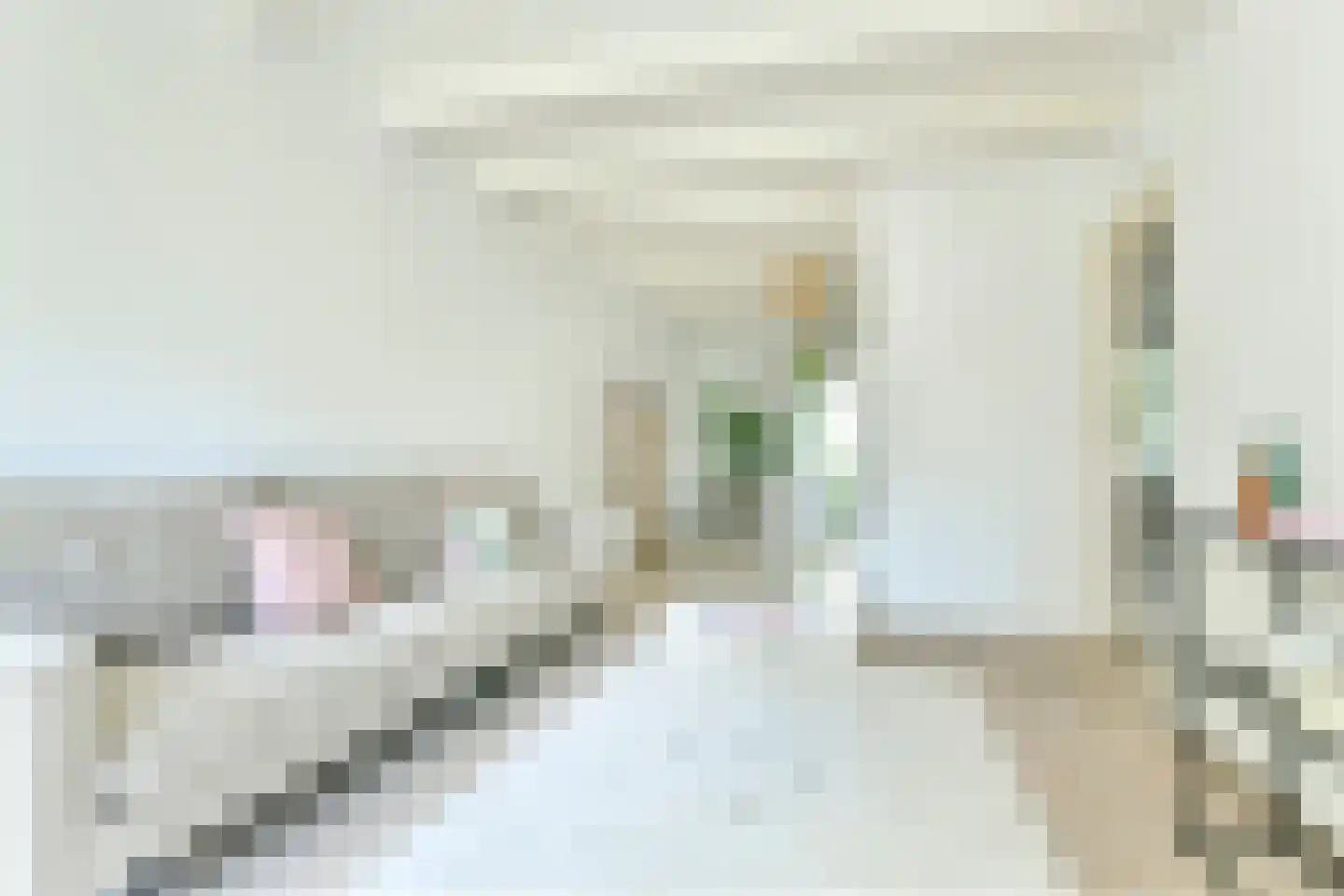 Admiralengracht 265 1 Amsterdam thumbnail 9