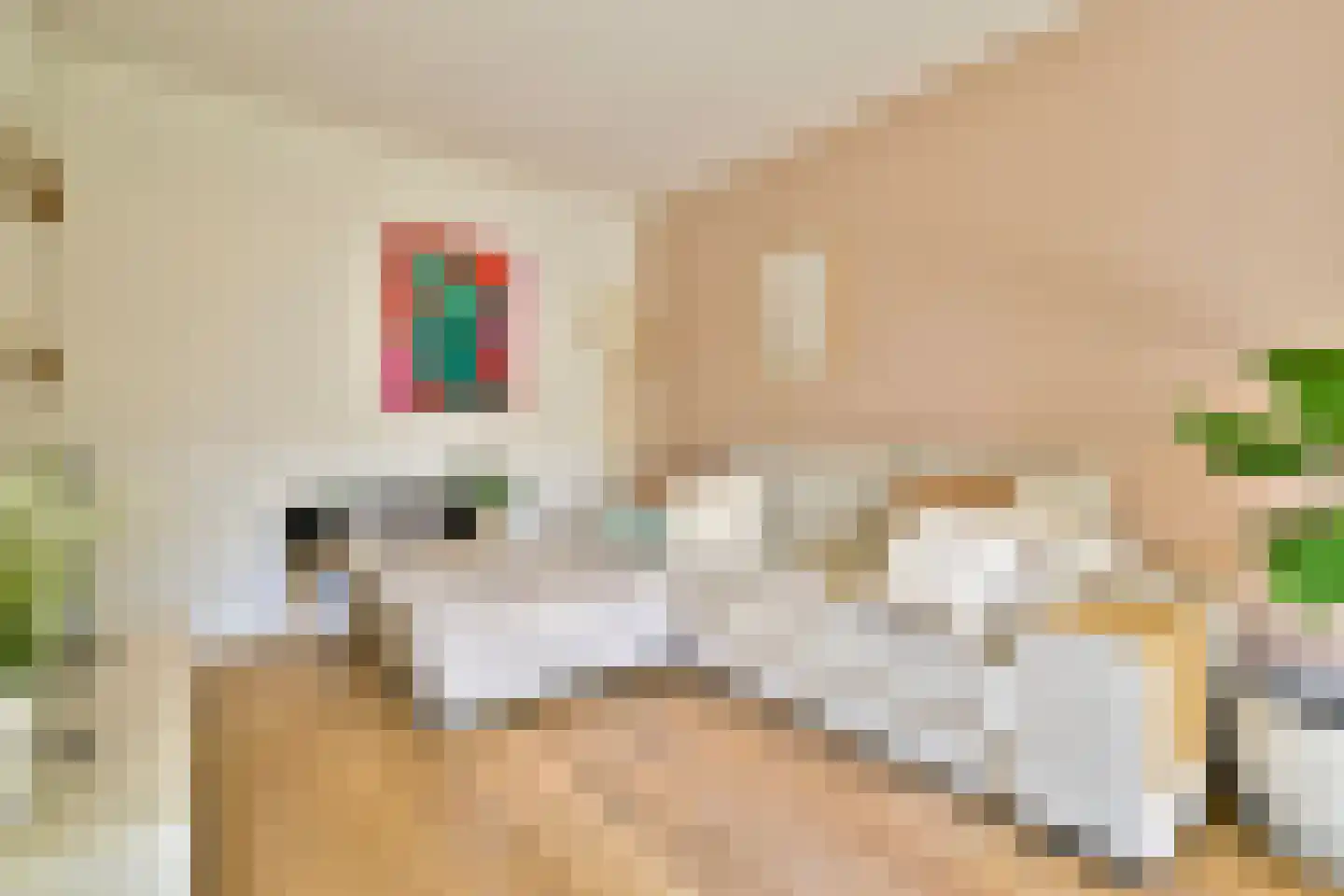 Admiralengracht 271 2 Amsterdam thumbnail 12