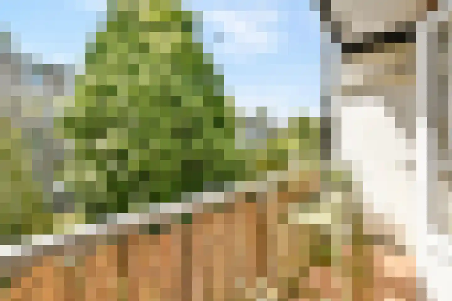 Admiralengracht 271 2 Amsterdam thumbnail 6