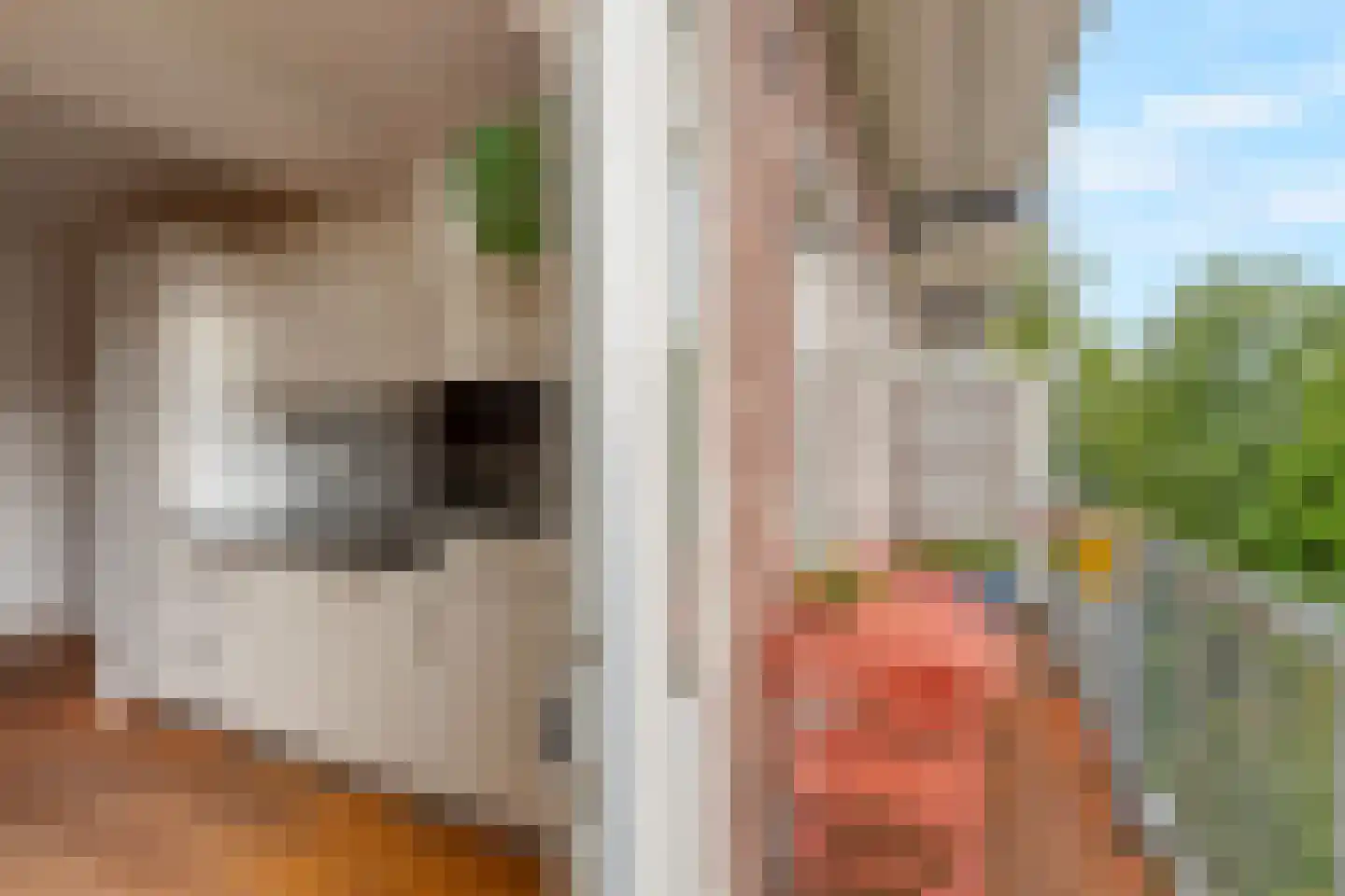 Admiralengracht 277 2 Amsterdam thumbnail 12