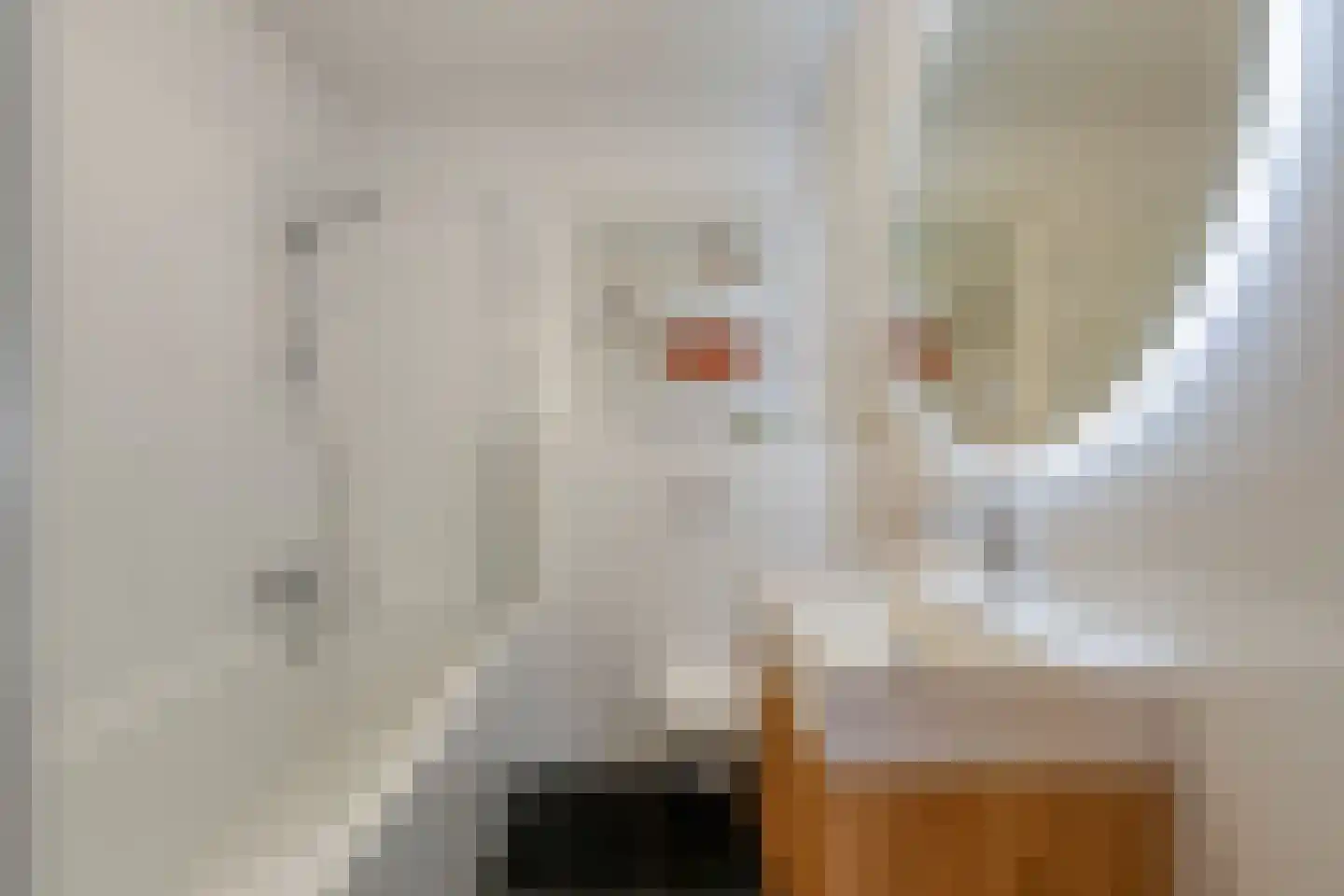Admiralengracht 277 2 Amsterdam thumbnail 20
