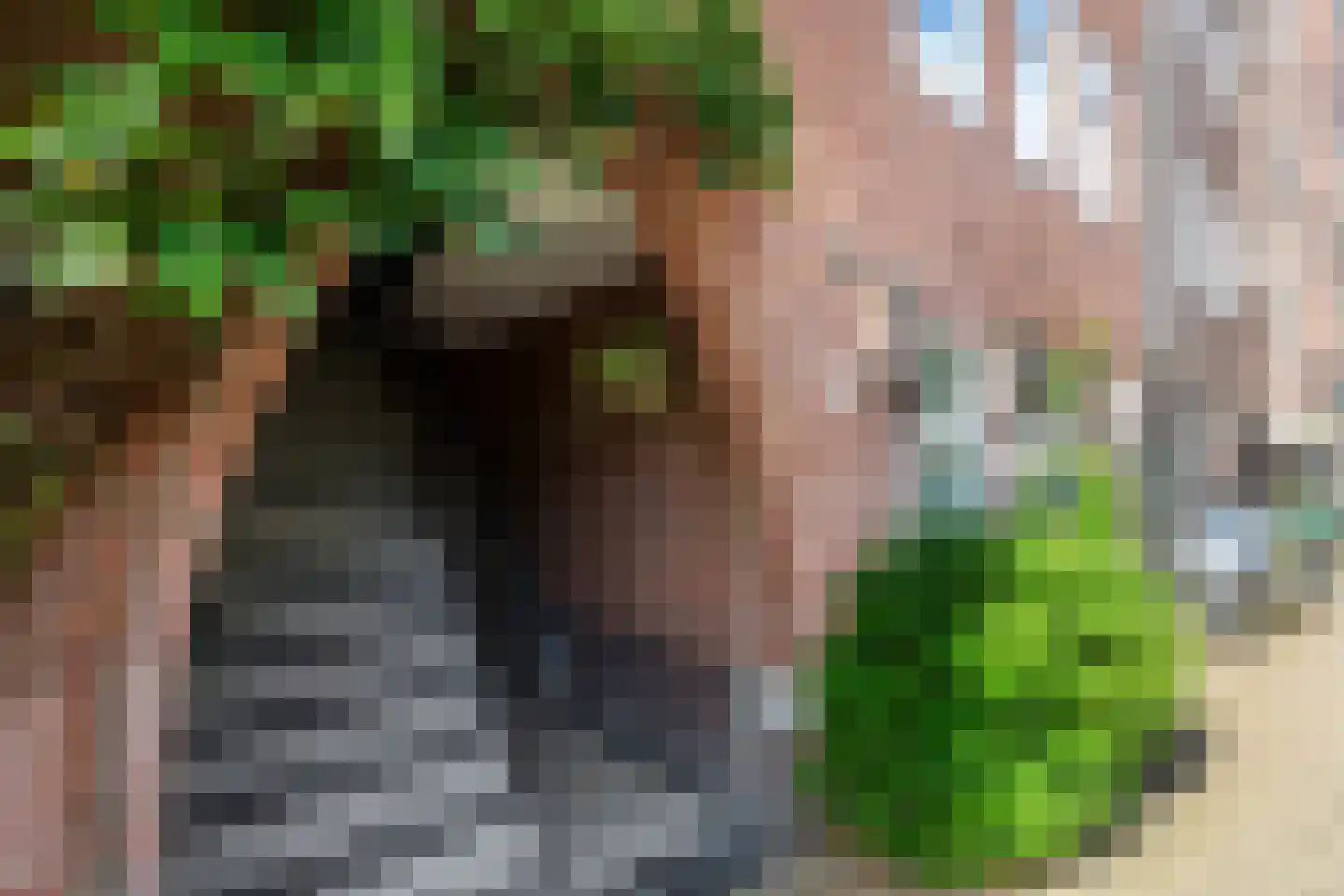 Admiralengracht 277 2 Amsterdam thumbnail 27