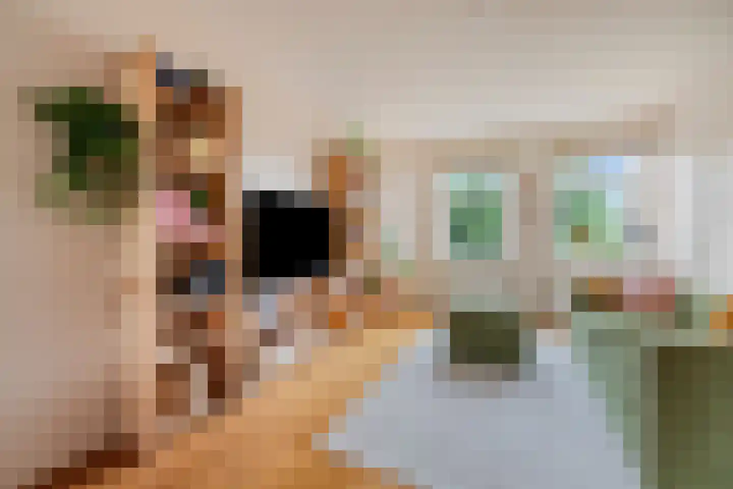Admiralengracht 277 2 Amsterdam thumbnail 5