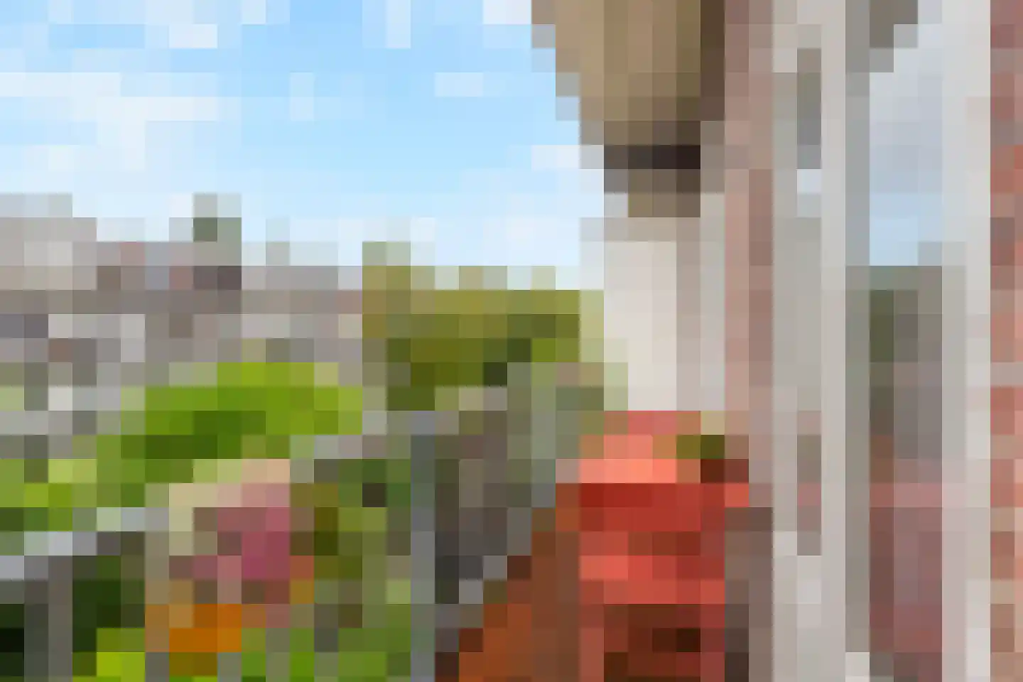 Admiralengracht 277 2 Amsterdam thumbnail 8