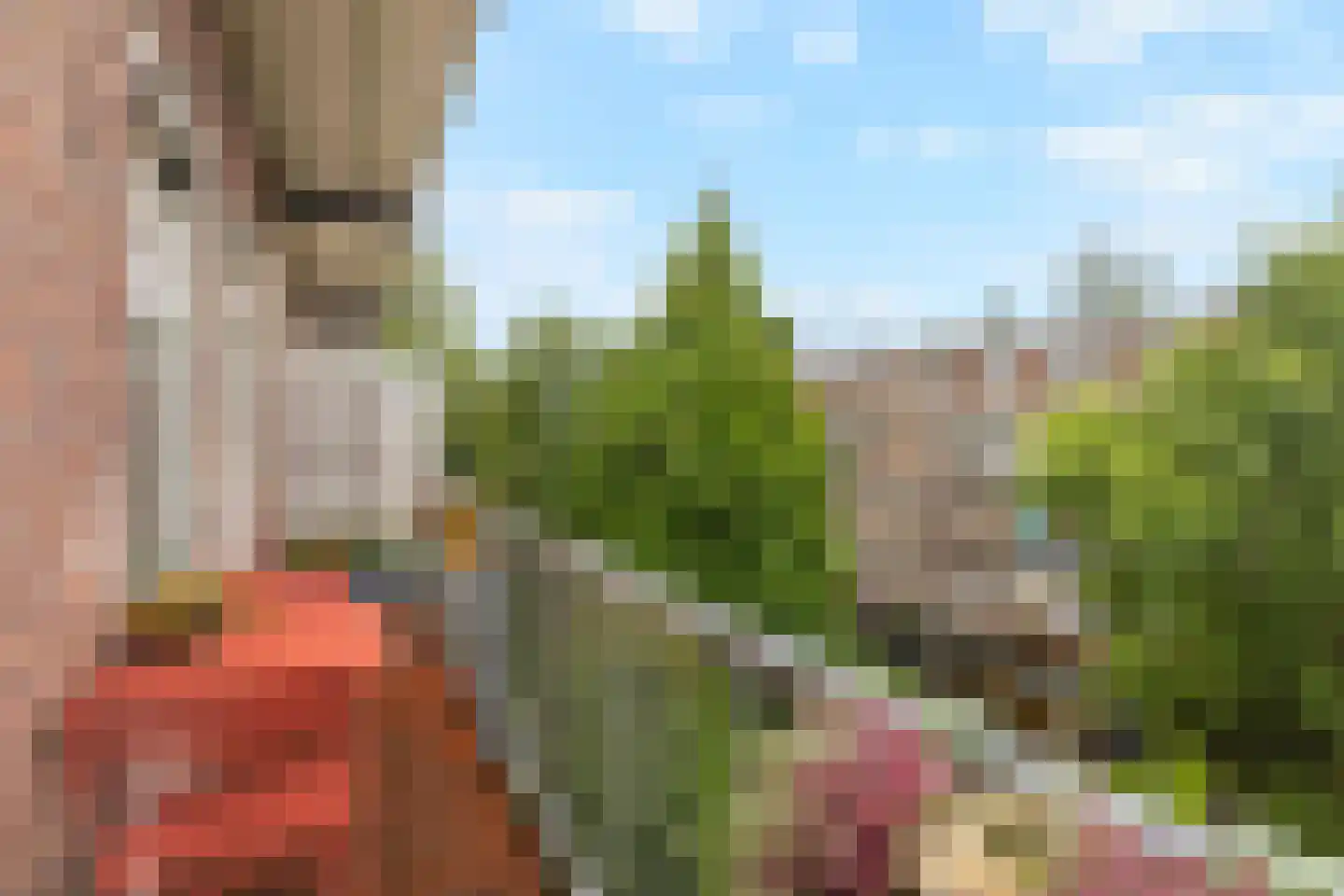 Admiralengracht 277 2 Amsterdam thumbnail 9