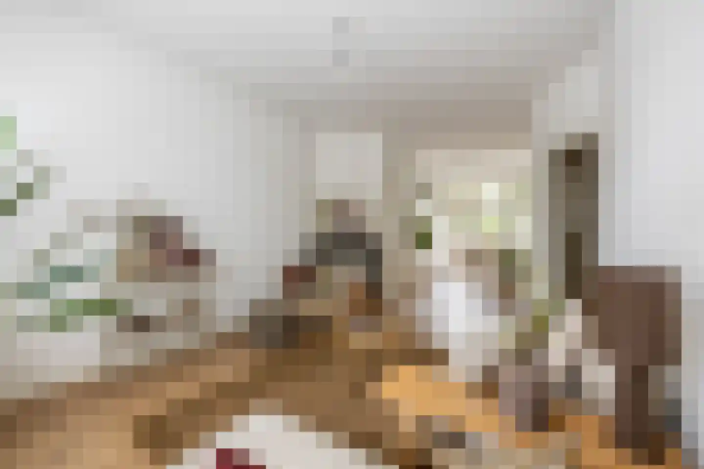 Admiralengracht 313 Amsterdam thumbnail 11