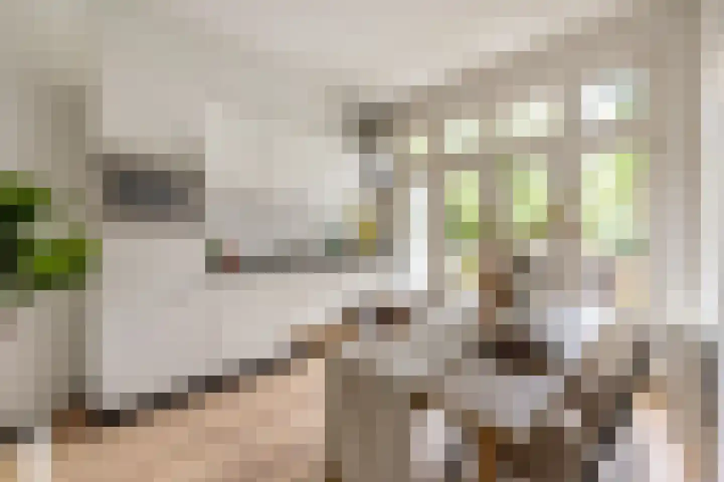 Admiralengracht 313 Amsterdam thumbnail 18