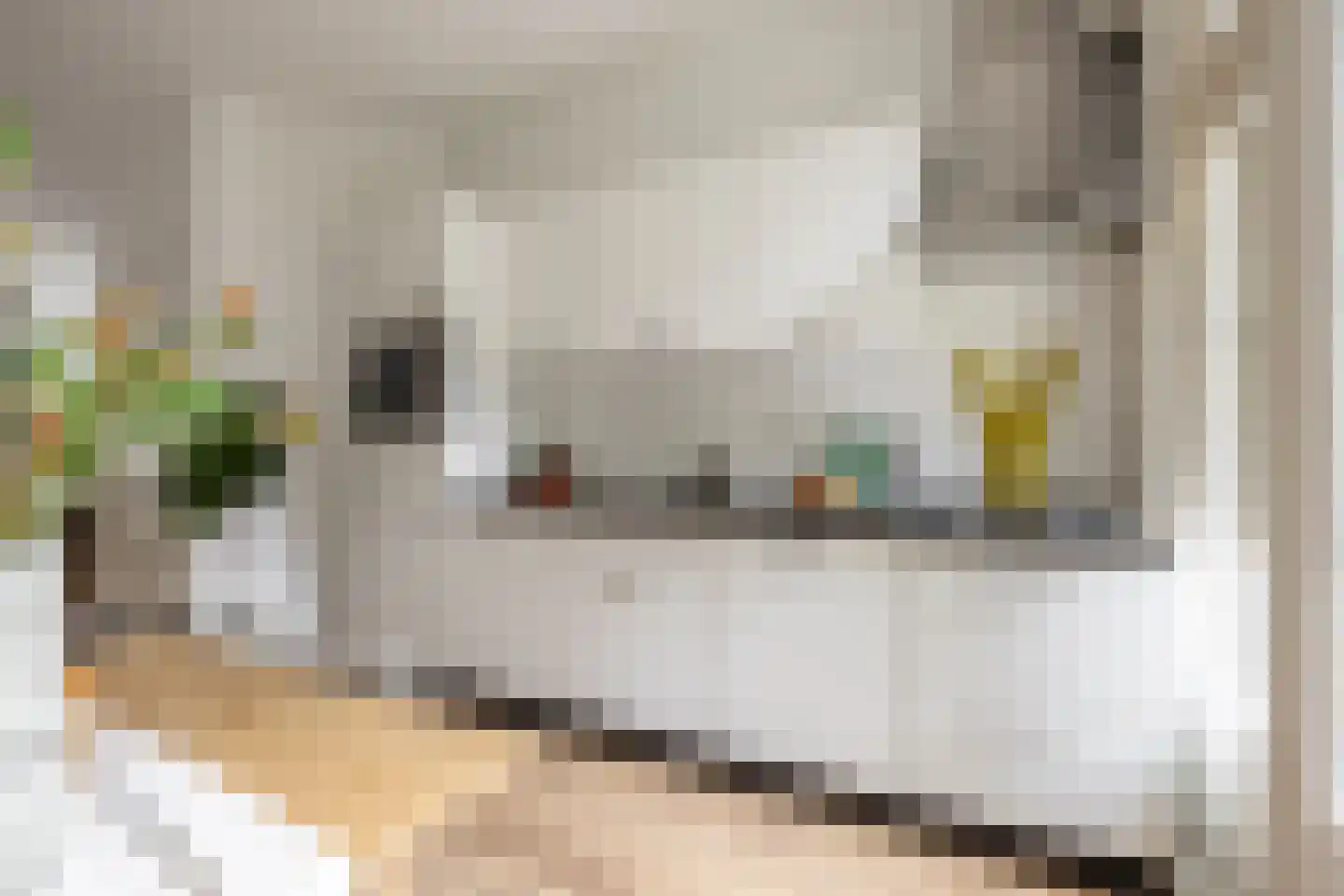 Admiralengracht 313 Amsterdam thumbnail 20