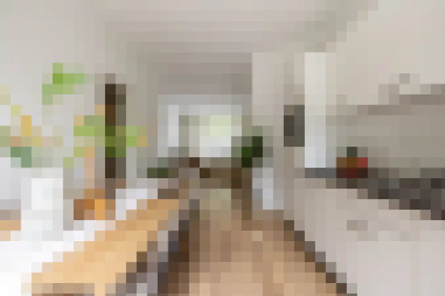 Admiralengracht 313 Amsterdam thumbnail 21