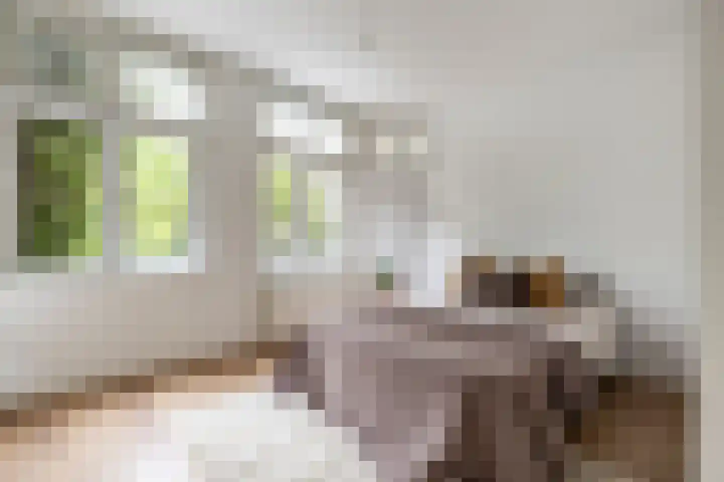 Admiralengracht 313 Amsterdam thumbnail 24