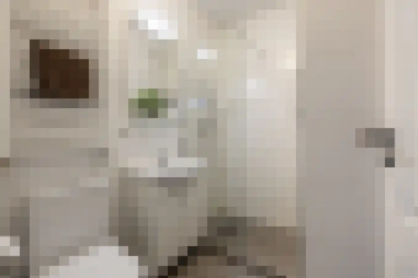 Admiralengracht 313 Amsterdam thumbnail 30