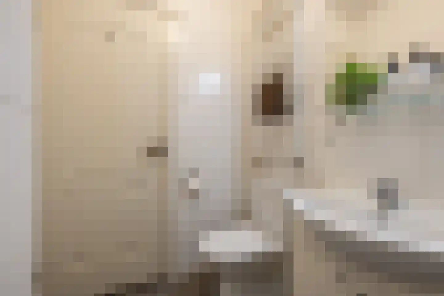 Admiralengracht 313 Amsterdam thumbnail 31