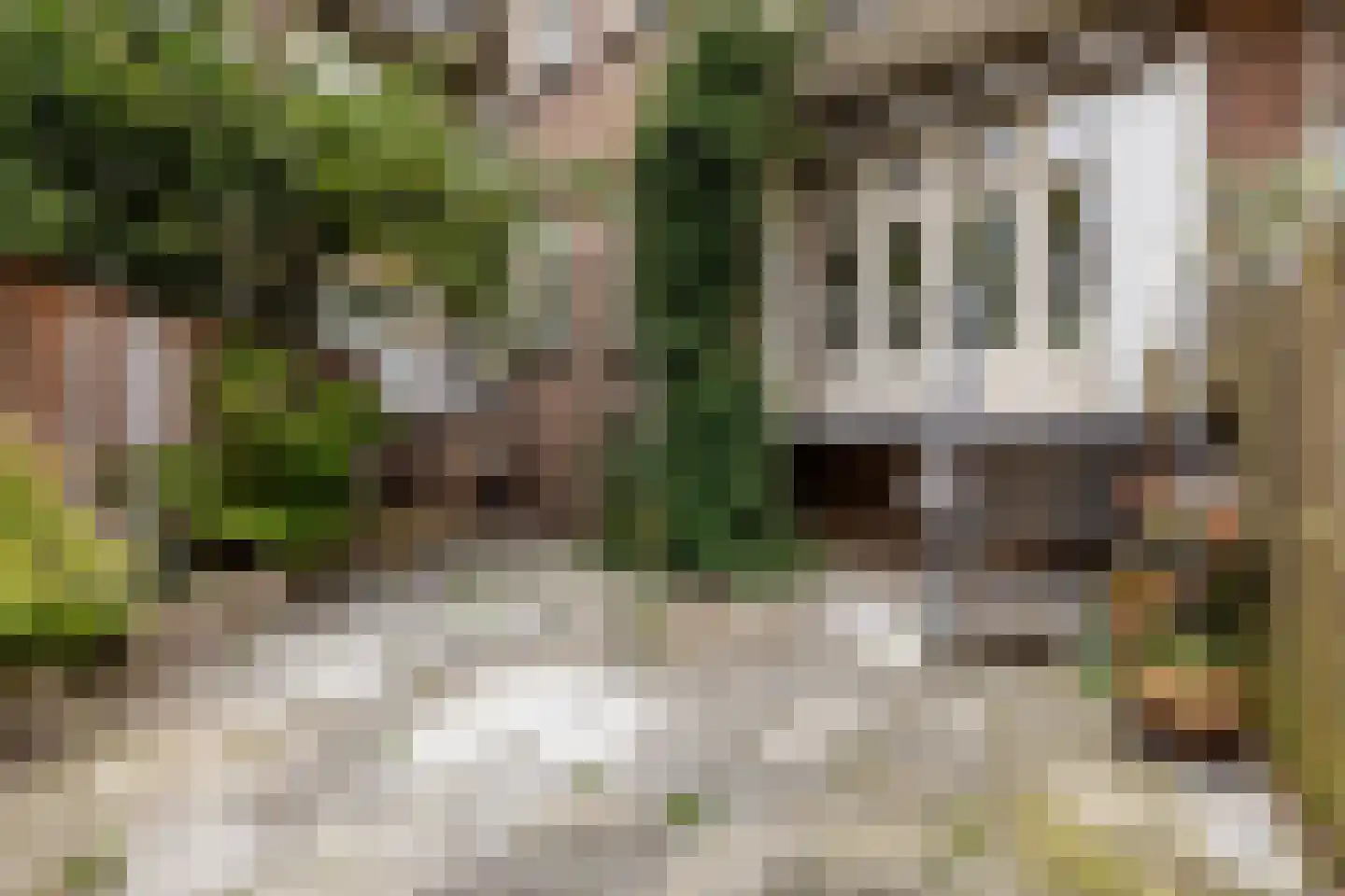 Admiralengracht 313 Amsterdam thumbnail 34