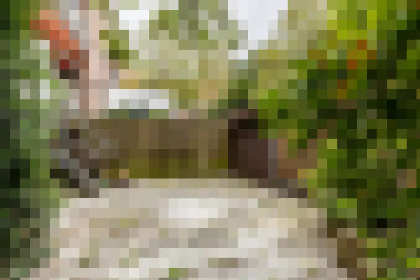 Admiralengracht 313 Amsterdam thumbnail 35