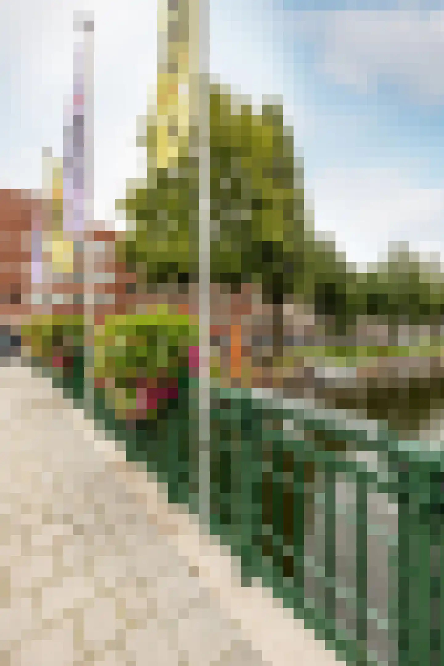 Admiralengracht 313 Amsterdam thumbnail 39
