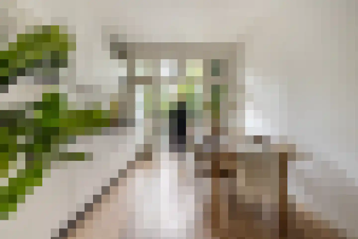 Admiralengracht 313 Amsterdam thumbnail 5