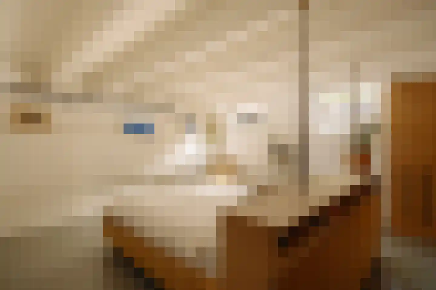 Admiralengracht 32 H Amsterdam thumbnail 15