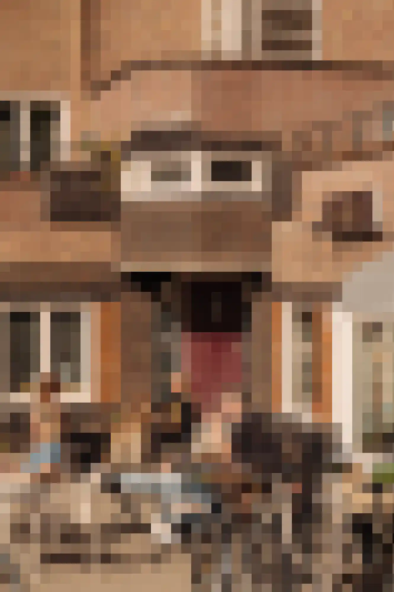 Admiralengracht 32 H Amsterdam thumbnail 30