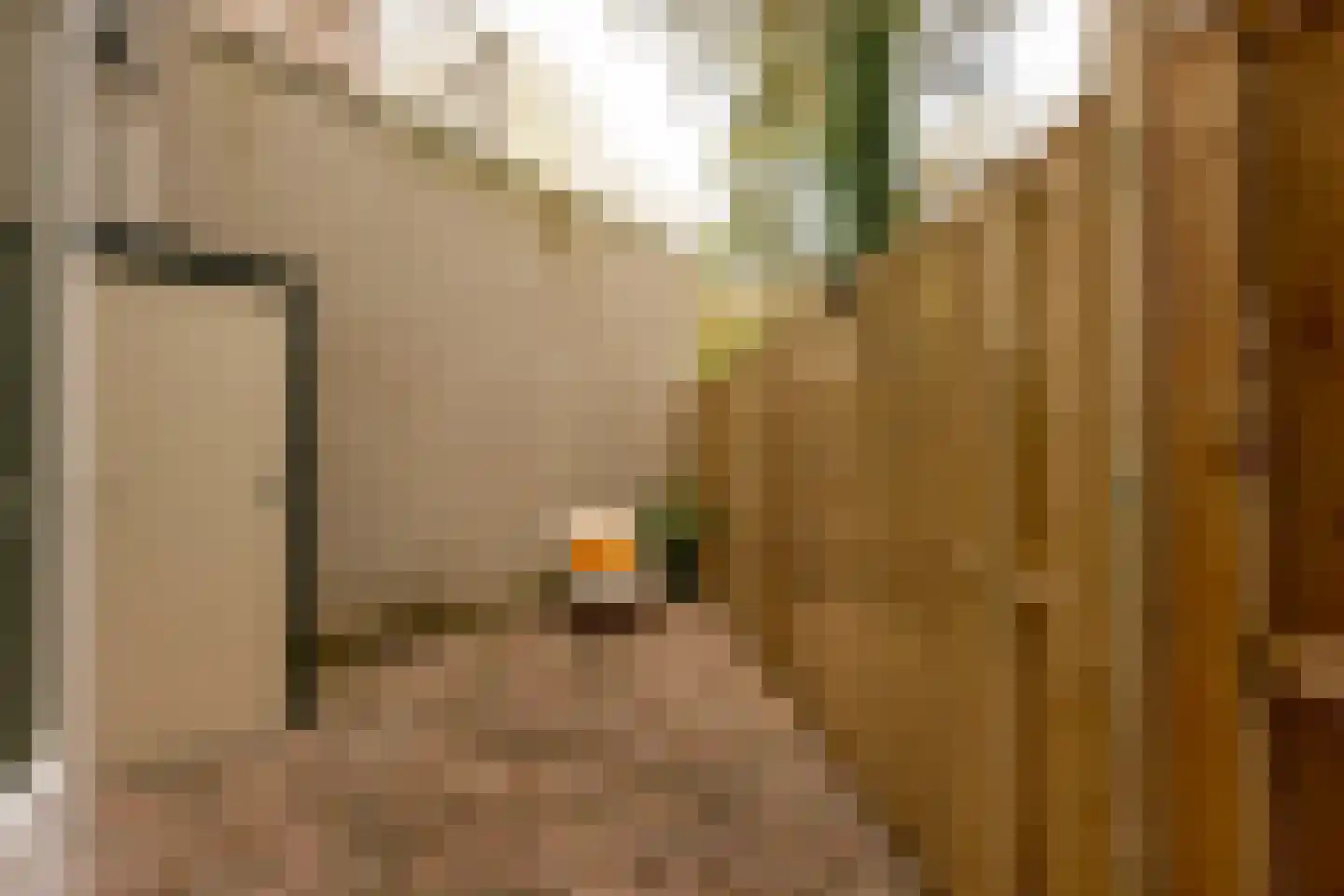Admiralengracht 36 Amsterdam thumbnail 15