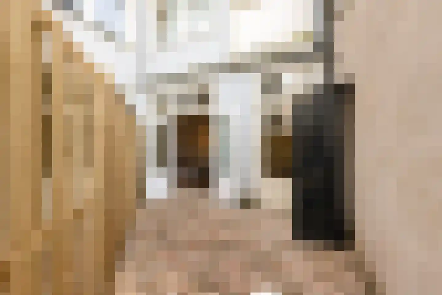 Admiralengracht 36 Amsterdam thumbnail 16