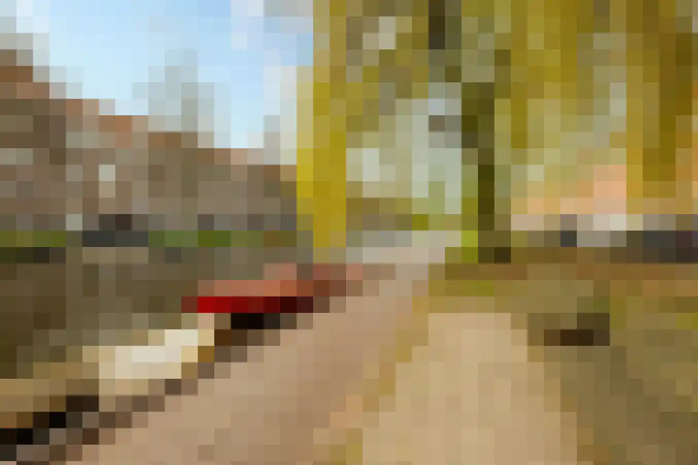 Admiralengracht 36 Amsterdam thumbnail 21