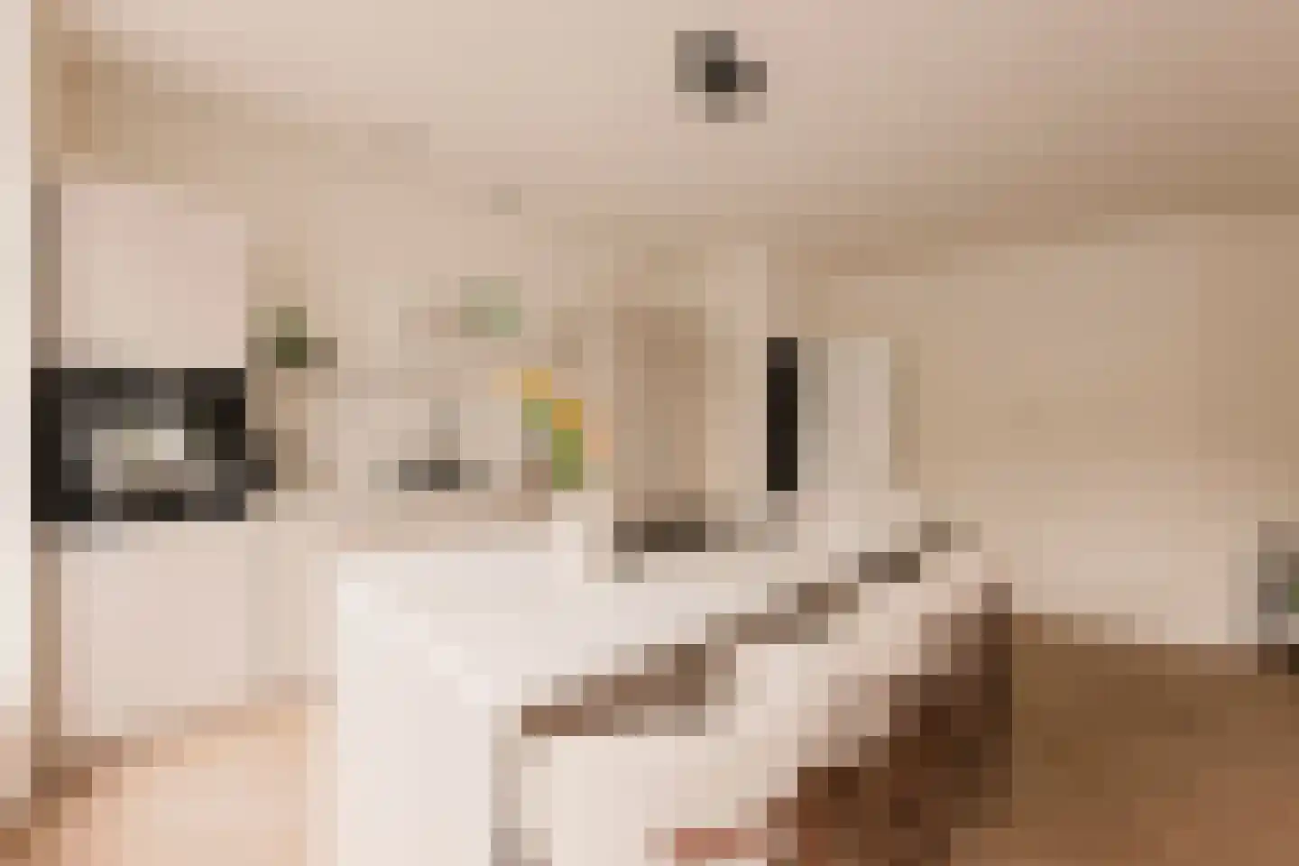 Admiralengracht 36 Amsterdam thumbnail 7