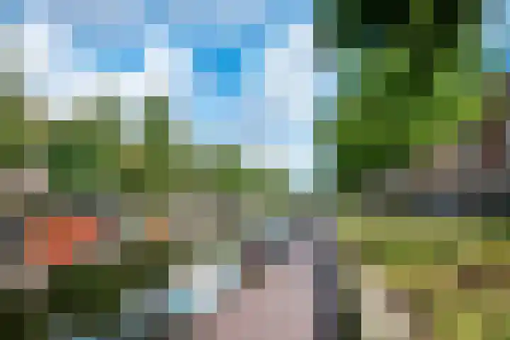 Admiralengracht 38 1 Amsterdam thumbnail 26
