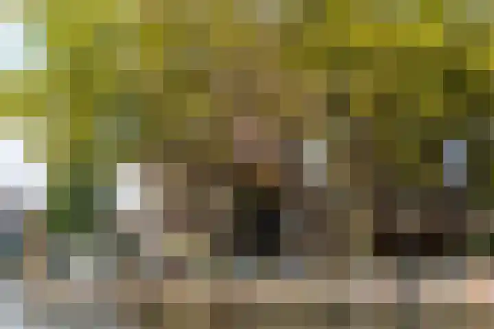 Admiralengracht 38 1 Amsterdam thumbnail 30