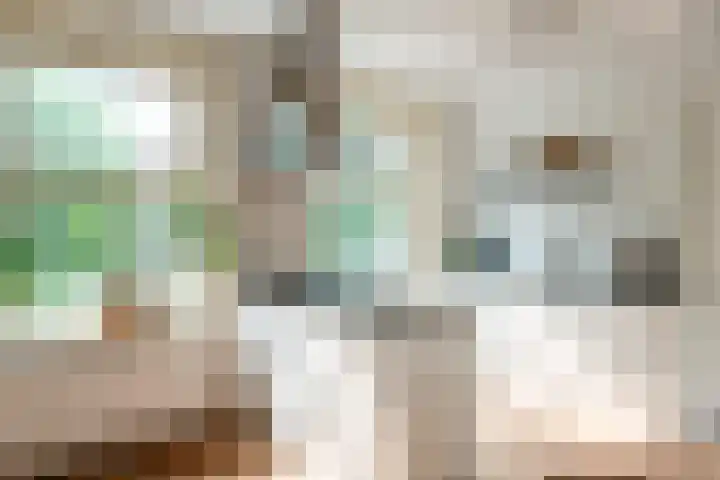 Admiralengracht 38 1 Amsterdam thumbnail 8