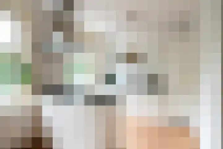 Admiralengracht 38 1 Amsterdam thumbnail 9