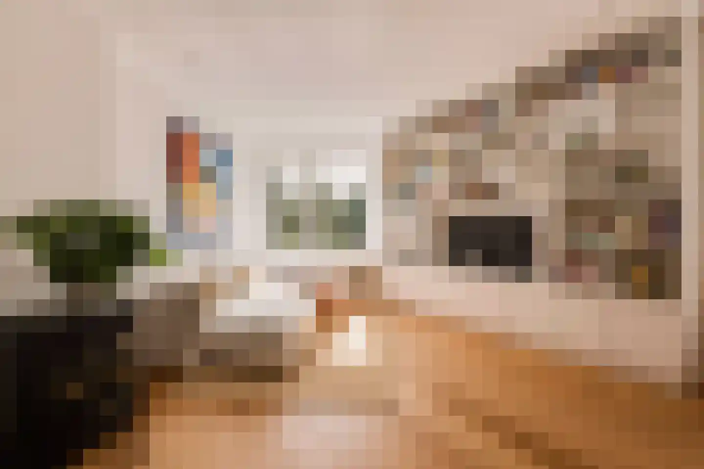Admiralengracht 38 2 Amsterdam thumbnail 13