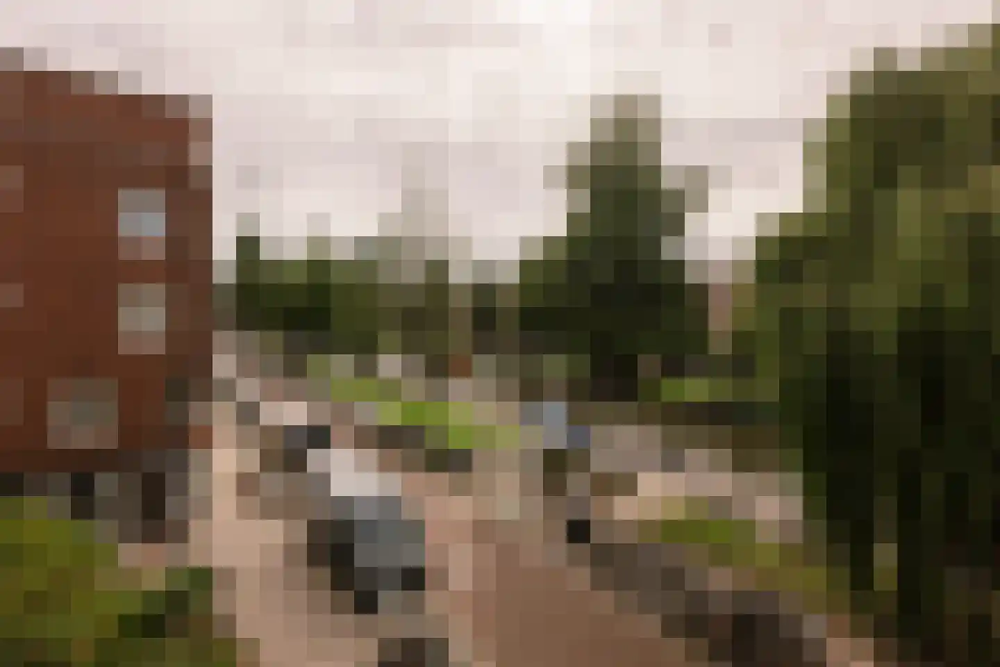 Admiralengracht 38 2 Amsterdam thumbnail 14