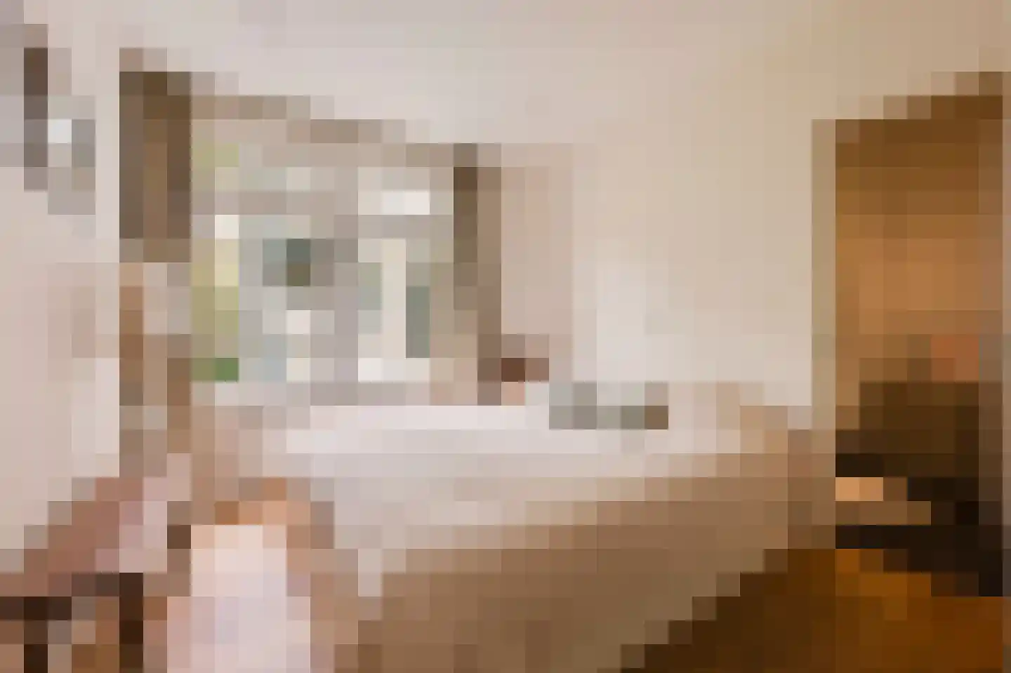 Admiralengracht 38 2 Amsterdam thumbnail 16