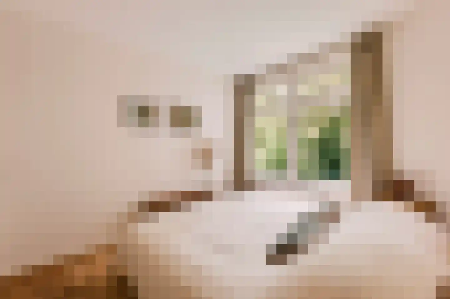 Admiralengracht 38 2 Amsterdam thumbnail 19
