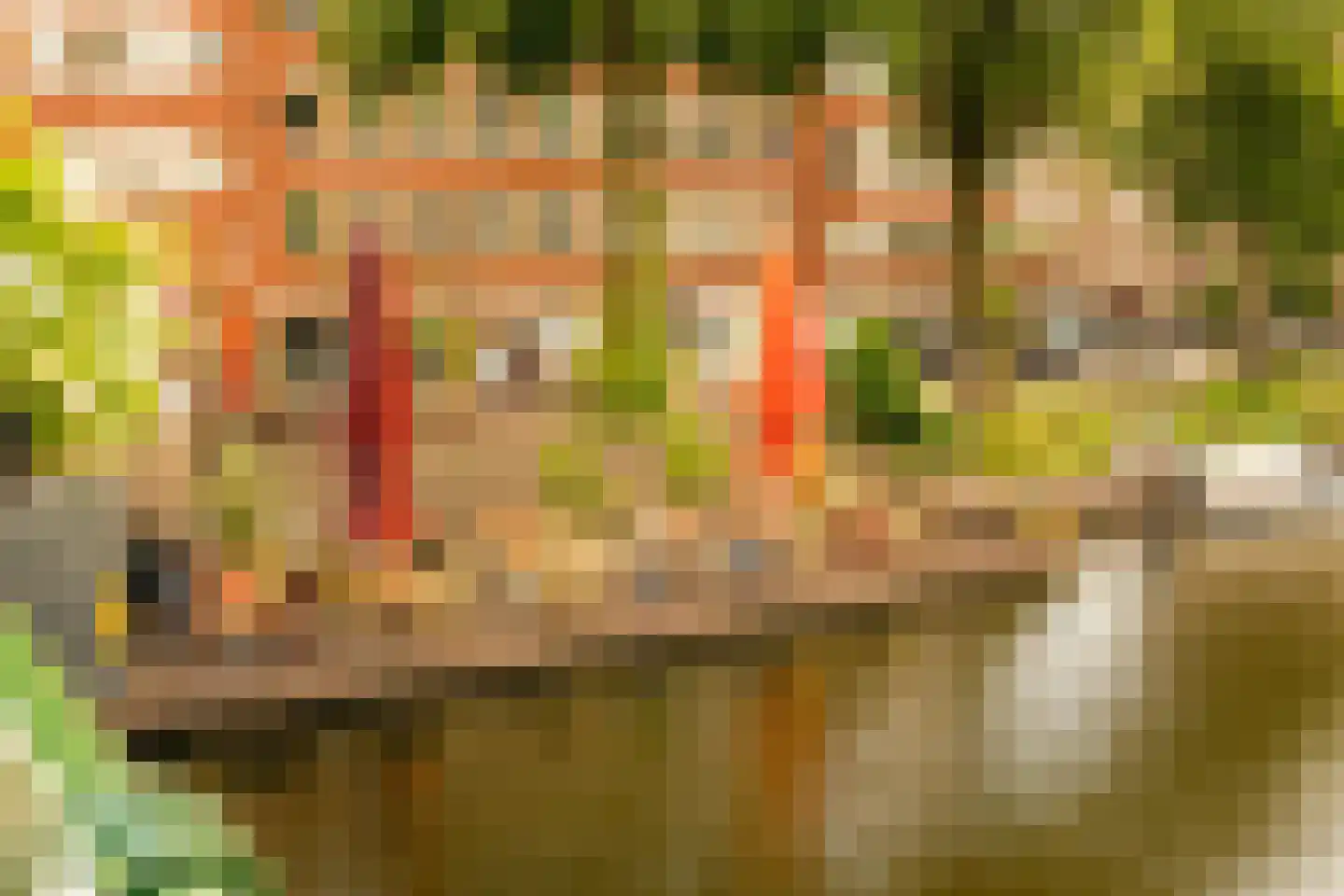 Admiralengracht 38 2 Amsterdam thumbnail 30
