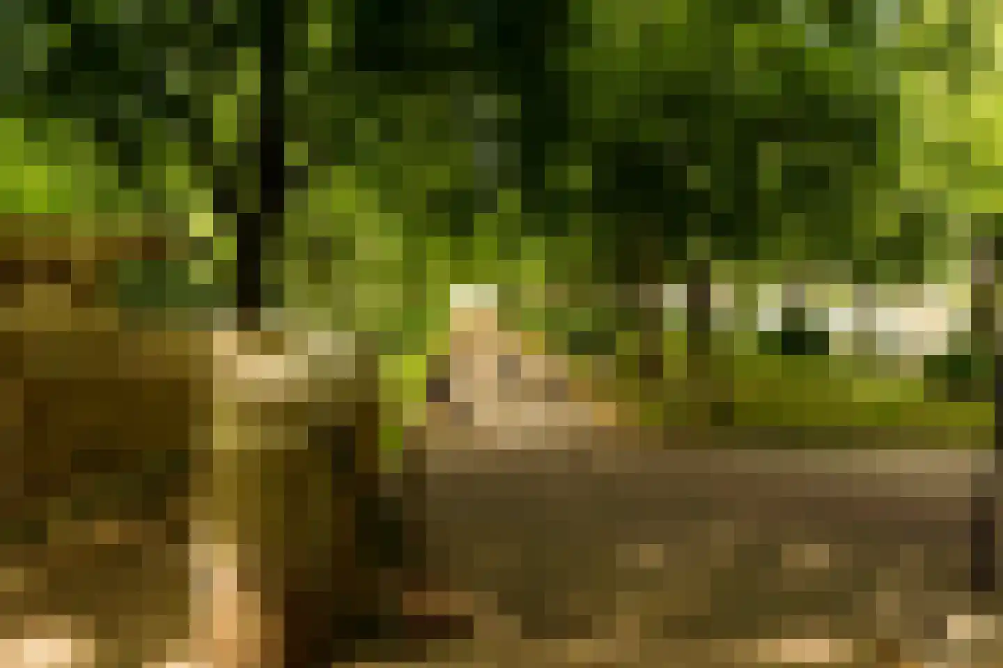 Admiralengracht 38 2 Amsterdam thumbnail 32