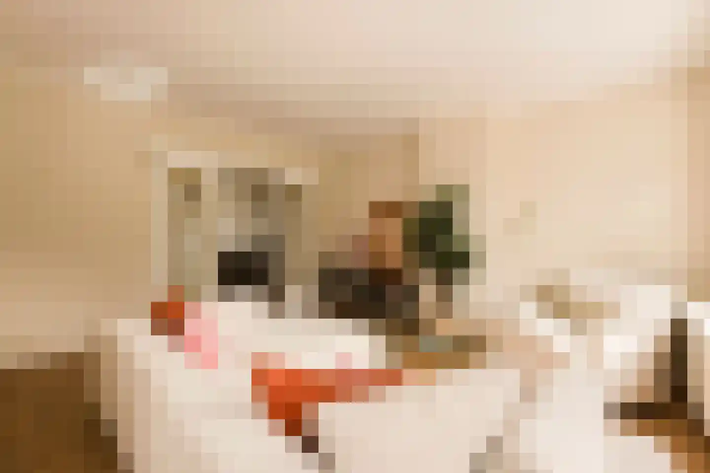 Admiralengracht 64 1 Amsterdam thumbnail 10