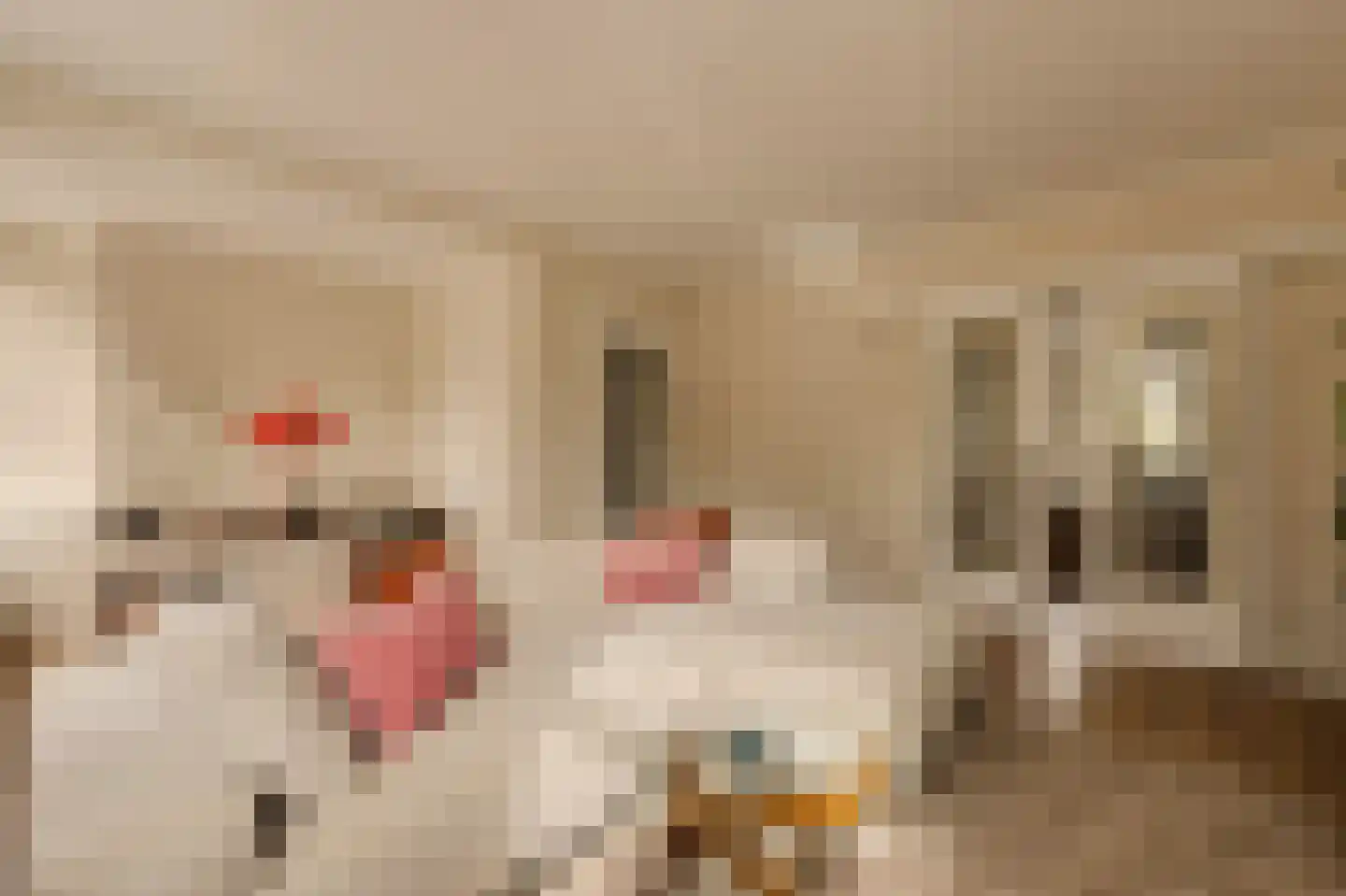 Admiralengracht 64 1 Amsterdam thumbnail 11