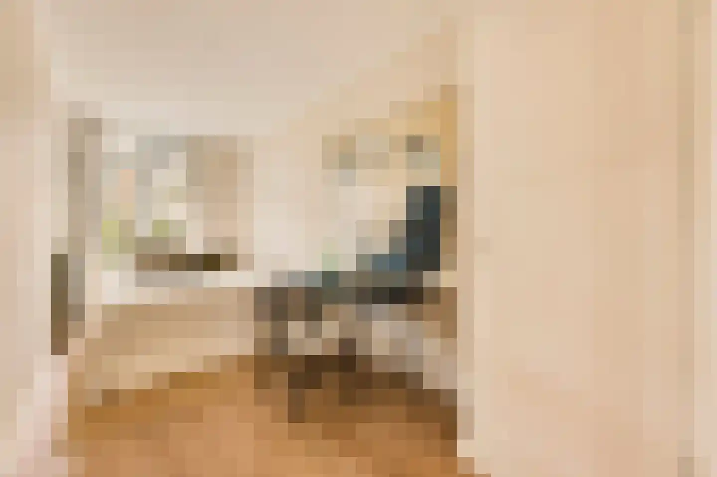Admiralengracht 64 1 Amsterdam thumbnail 20