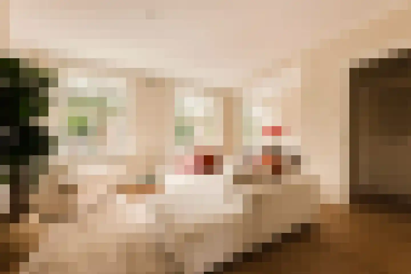 Admiralengracht 64 1 Amsterdam thumbnail 5