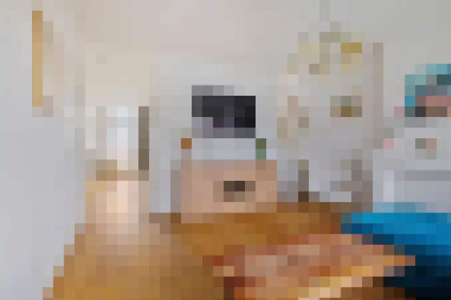 Admiralengracht 64 H Amsterdam thumbnail 14